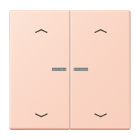 2-gang rocker with lens and arrow symbol - JUNG (pavadinimas tikslinamas)