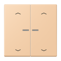 2-gang rocker with lens and arrow symbol - JUNG (pavadinimas tikslinamas)