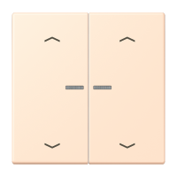 2-gang rocker with lens and arrow symbol - JUNG (pavadinimas tikslinamas)