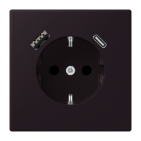 SCHUKO socket with USB charger LC4320E - JUNG (pavadinimas tikslinamas)
