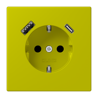 SCHUKO socket with USB charger LC4320F - JUNG (pavadinimas tikslinamas)