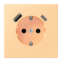 SCHUKO socket with USB charger LC4320P - JUNG (pavadinimas tikslinamas)