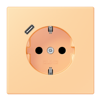 SCHUKO socket with USB type C LC4320P - JUNG (pavadinimas tikslinamas)