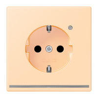SCHUKO socket with LED pilot light LC320 - JUNG (pavadinimas tikslinamas)