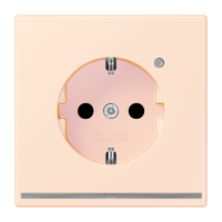 SCHUKO socket with LED pilot light LC320 - JUNG (pavadinimas tikslinamas)