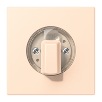 centre plate LC32123 - JUNG (pavadinimas tikslinamas)