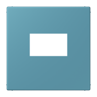 centre plate f. USB charger LC32031 - JUNG (pavadinimas tikslinamas)