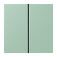 Cover kit 1-gang, complete LC32041 - JUNG (pavadinimas tikslinamas)