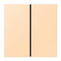 Cover kit 1-gang, complete LC32060 - JUNG (pavadinimas tikslinamas)