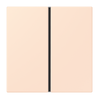 Cover kit 1-gang, complete LC32082 - JUNG (pavadinimas tikslinamas)