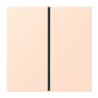 Cover kit 1-gang, complete LC32091 - JUNG (pavadinimas tikslinamas)
