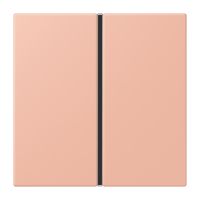 Cover kit 1-gang, complete LC32102 - JUNG (pavadinimas tikslinamas)