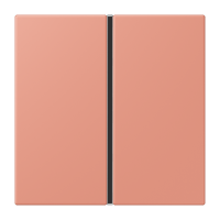 Cover kit 1-gang, complete LC32111 - JUNG (pavadinimas tikslinamas)