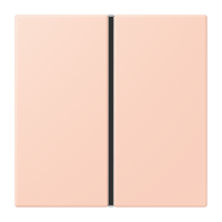 Cover kit 1-gang, complete LC32112 - JUNG (pavadinimas tikslinamas)