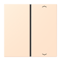 Cover 1-gang with symbols LC32123 - JUNG (pavadinimas tikslinamas)