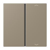 Cover 1-gang with symbols LC32141 - JUNG (pavadinimas tikslinamas)