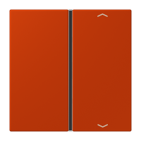 Cover 1-gang with symbols LC4320A - JUNG (pavadinimas tikslinamas)