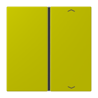 Cover 1-gang with symbols LC4320F - JUNG (pavadinimas tikslinamas)