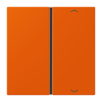 Cover 1-gang with symbols LC4320S - JUNG (pavadinimas tikslinamas)