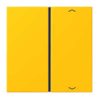 Cover 1-gang with symbols LC4320W - JUNG (pavadinimas tikslinamas)