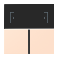Cover kit, complete LC32091 - JUNG (pavadinimas tikslinamas)