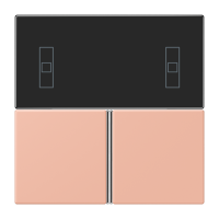 Cover kit, complete LC32102 - JUNG (pavadinimas tikslinamas)