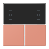 Cover kit, complete LC32111 - JUNG (pavadinimas tikslinamas)