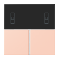 Cover kit, complete LC32112 - JUNG (pavadinimas tikslinamas)