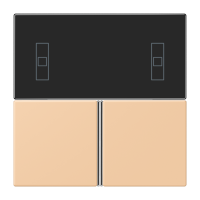 Cover kit, complete LC32122 - JUNG (pavadinimas tikslinamas)