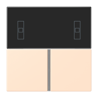 Cover kit, complete LC32123 - JUNG (pavadinimas tikslinamas)