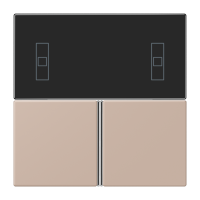 Cover kit, complete LC32131 - JUNG (pavadinimas tikslinamas)