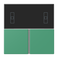 Cover kit, complete LC4320G - JUNG (pavadinimas tikslinamas)