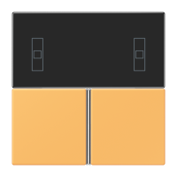 Cover kit, complete LC4320L - JUNG (pavadinimas tikslinamas)