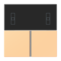 Cover kit, complete LC4320P - JUNG (pavadinimas tikslinamas)