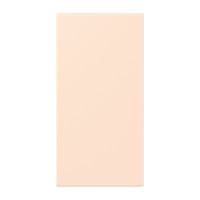 centre plate LC32082 - JUNG (pavadinimas tikslinamas)