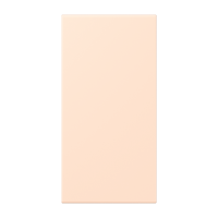 centre plate LC32091 - JUNG (pavadinimas tikslinamas)