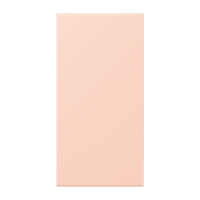 centre plate LC32112 - JUNG (pavadinimas tikslinamas)