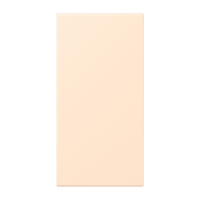 centre plate LC32123 - JUNG (pavadinimas tikslinamas)