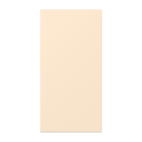 centre plate LC4320B - JUNG (pavadinimas tikslinamas)