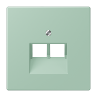 centre pl.f.2-gang mod. jack sockets LC3 - JUNG (pavadinimas tikslinamas)