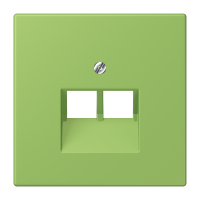 centre pl.f.2-gang mod. jack sockets LC3 - JUNG (pavadinimas tikslinamas)
