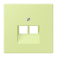 centre pl.f.2-gang mod. jack sockets LC3 - JUNG (pavadinimas tikslinamas)