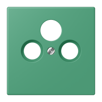 Centre plate for SAT-TV-FM LC4320G - JUNG (pavadinimas tikslinamas)