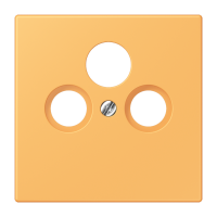 Centre plate for SAT-TV-FM LC4320L - JUNG (pavadinimas tikslinamas)