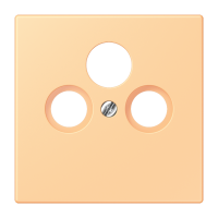 Centre plate for SAT-TV-FM LC4320P - JUNG (pavadinimas tikslinamas)
