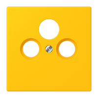 Centre plate for SAT-TV-FM LC4320W - JUNG (pavadinimas tikslinamas)