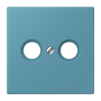 centre plate f. TV/FM socket LC32031 - JUNG (pavadinimas tikslinamas)