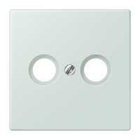 centre plate f. TV/FM socket LC32034 - JUNG (pavadinimas tikslinamas)