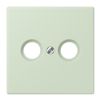 centre plate f. TV/FM socket LC32042 - JUNG (pavadinimas tikslinamas)