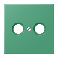 centre plate f. TV/FM socket LC4320G - JUNG (pavadinimas tikslinamas)